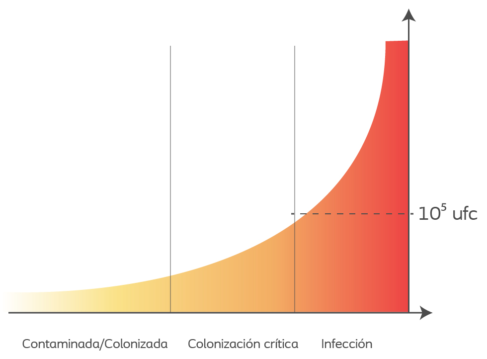 Infección en heridas