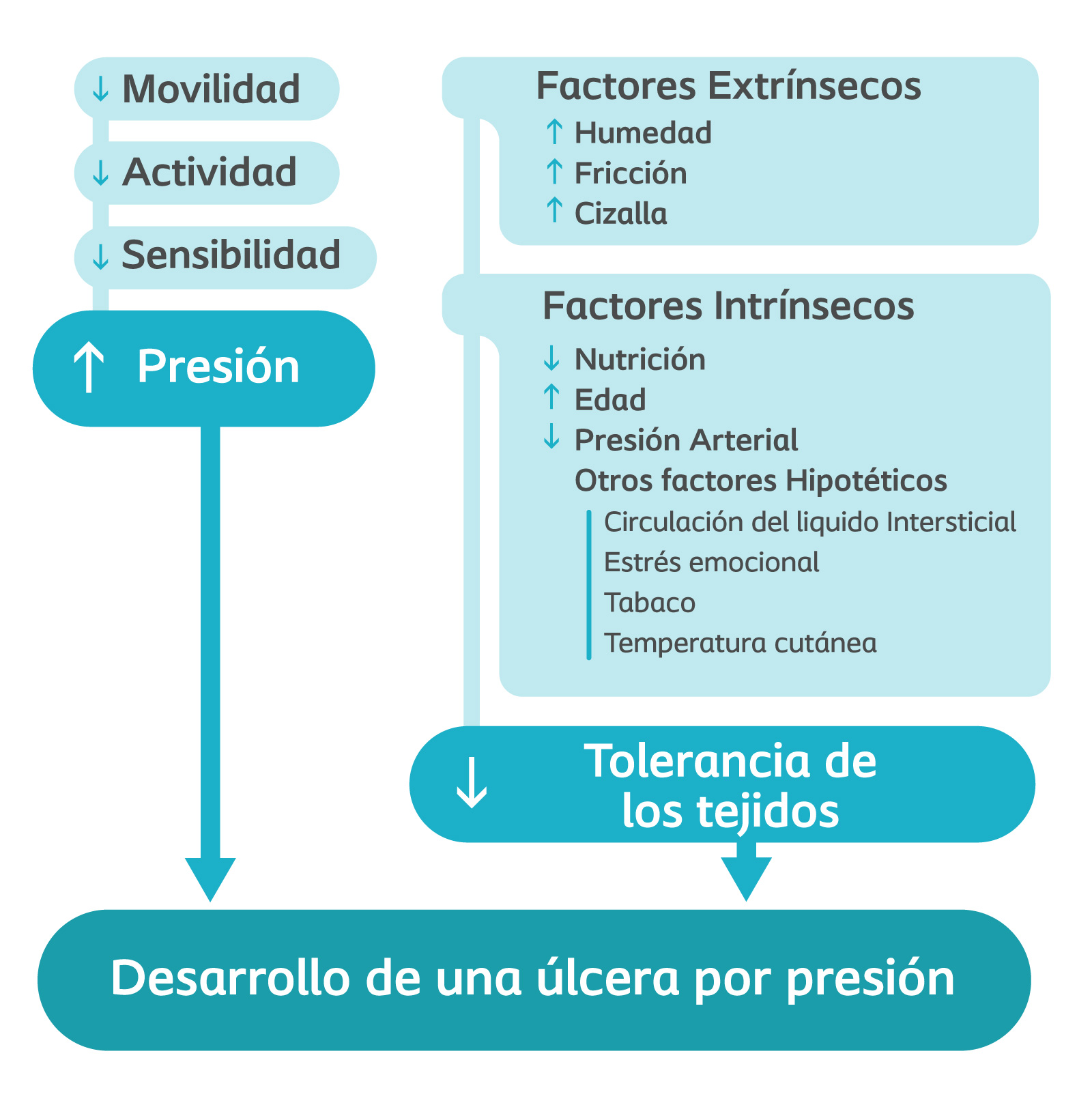 úlceras por presión gráfico