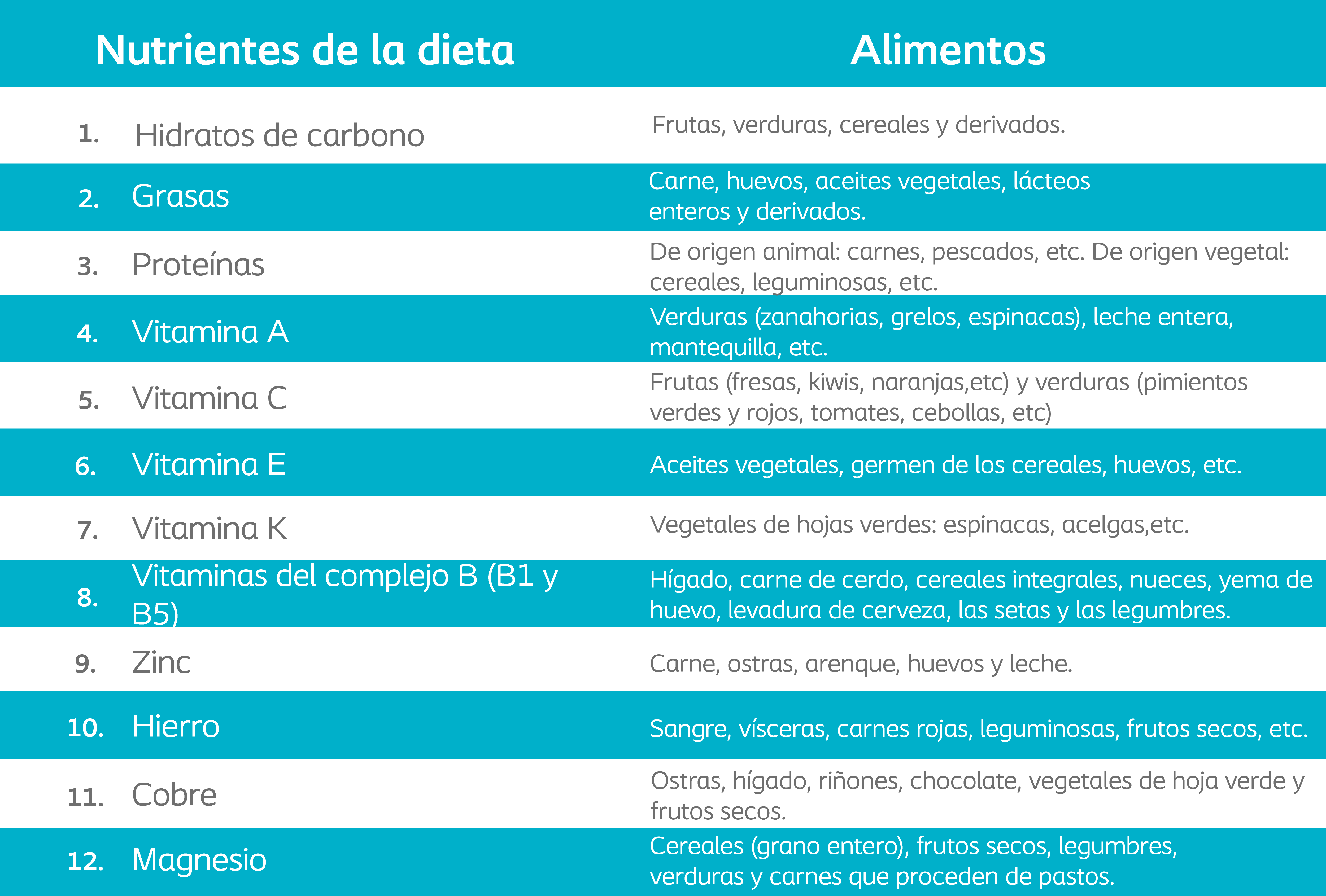 La dieta en el proceso de cicatrización