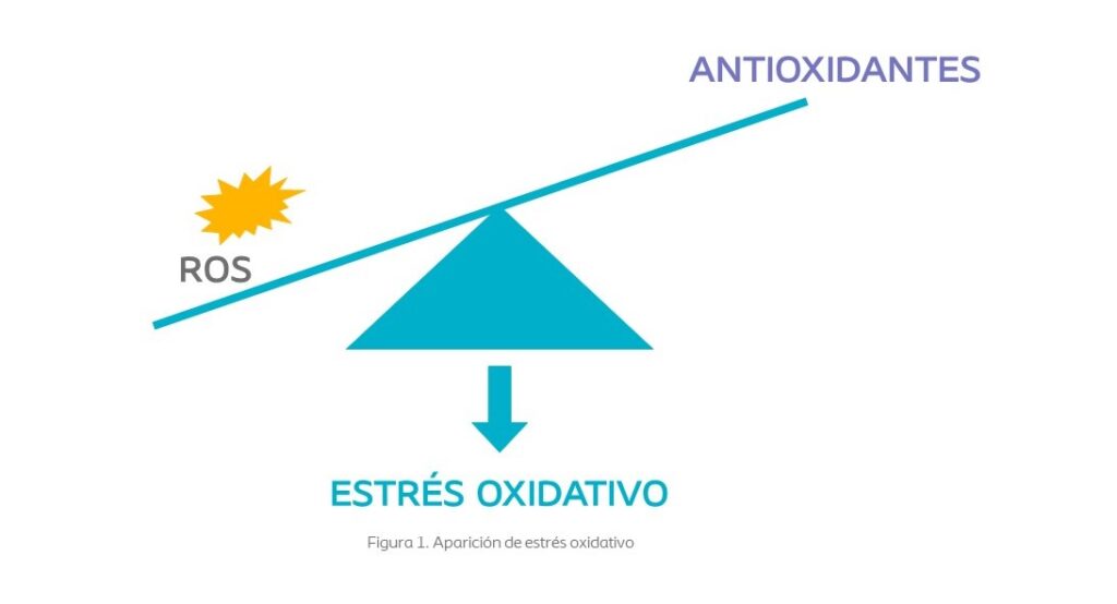Aparicion de estres oxidativo